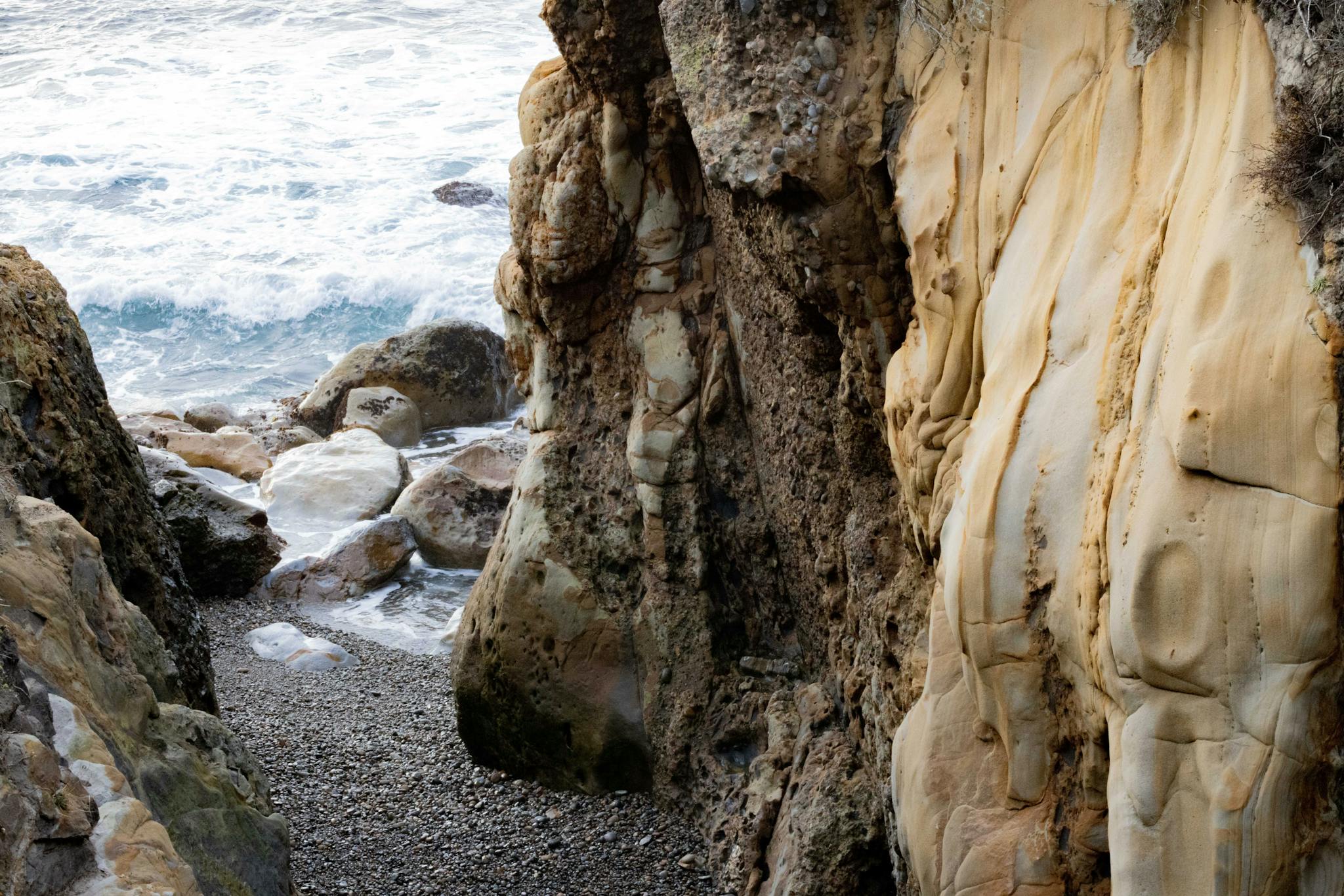 Point Lobos IV