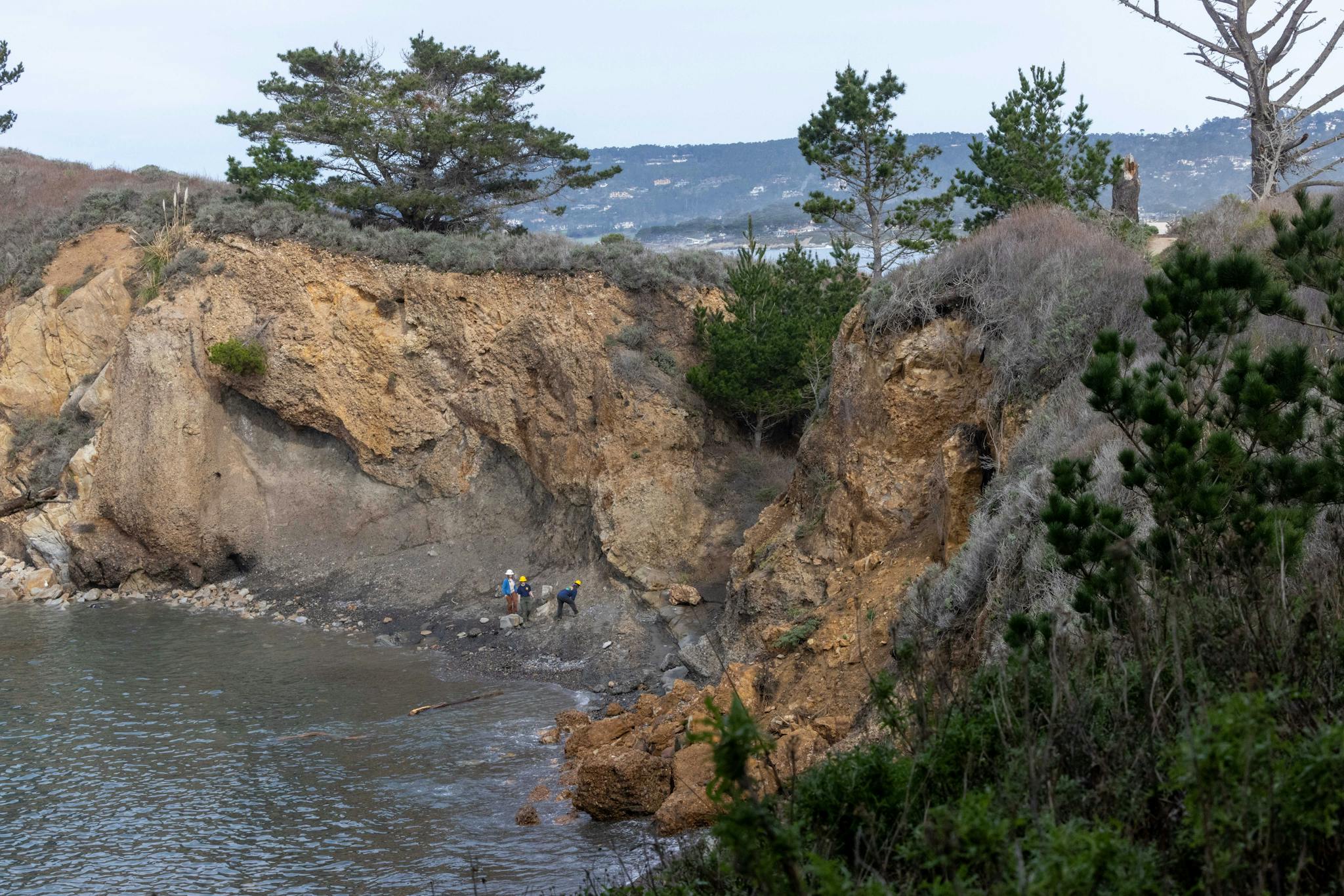 Point Lobos VIII