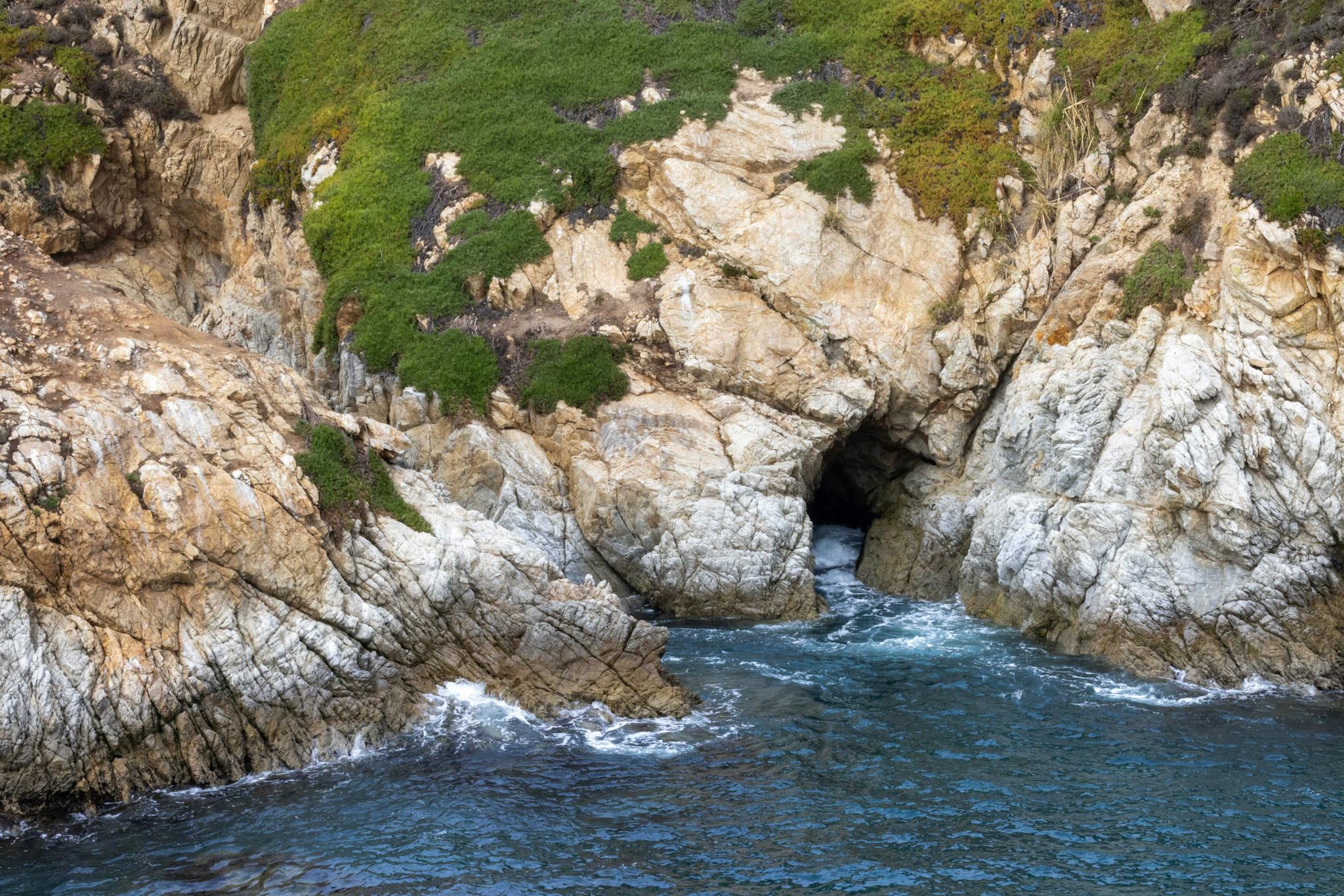 Point Lobos V