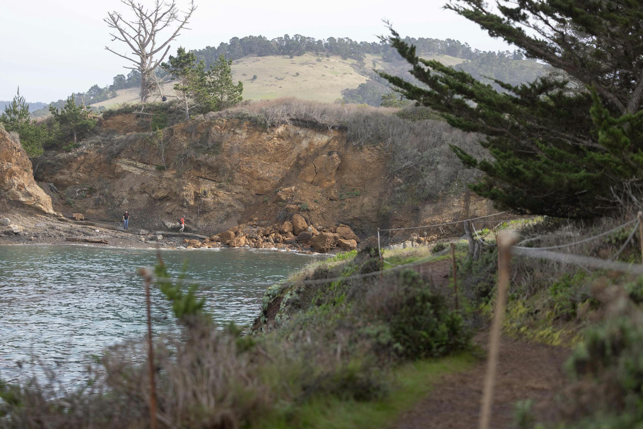 Point Lobos IX