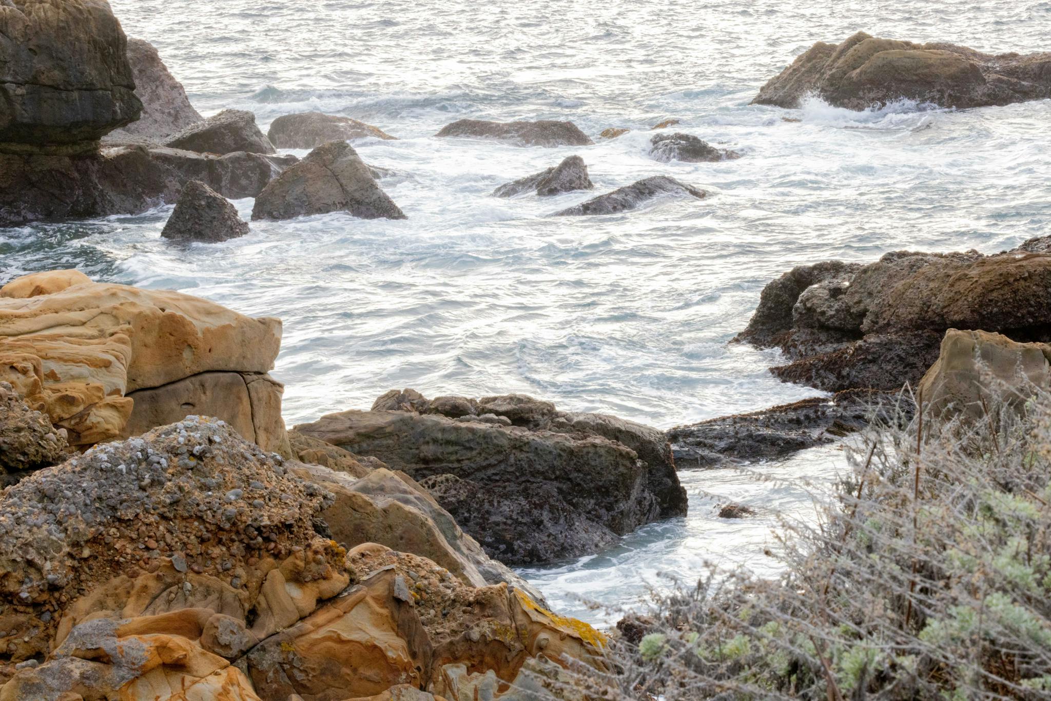 Point Lobos III